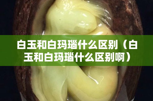 白玉和白玛瑙什么区别（白玉和白玛瑙什么区别啊）
