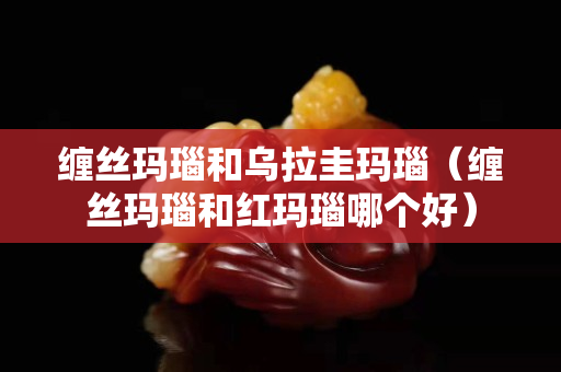 缠丝玛瑙和乌拉圭玛瑙（缠丝玛瑙和红玛瑙哪个好）
