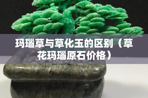 玛瑙草与草化玉的区别（草花玛瑙原石价格）