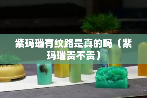 紫玛瑙有纹路是真的吗（紫玛瑙贵不贵）