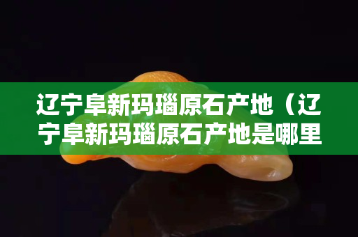 辽宁阜新玛瑙原石产地（辽宁阜新玛瑙原石产地是哪里）