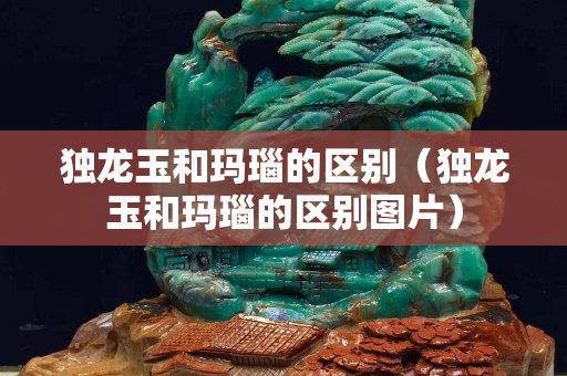 独龙玉和玛瑙的区别（独龙玉和玛瑙的区别图片）
