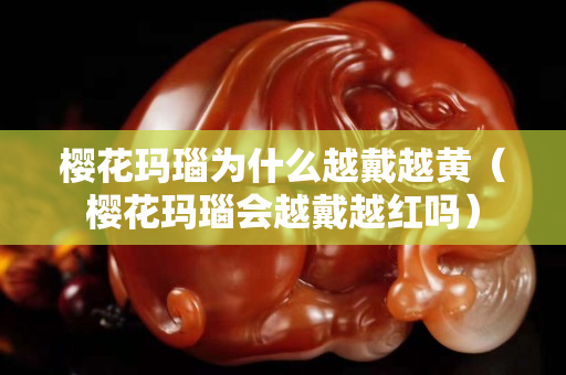 樱花玛瑙为什么越戴越黄（樱花玛瑙会越戴越红吗）