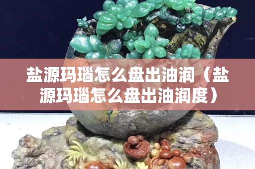 盐源玛瑙怎么盘出油润（盐源玛瑙怎么盘出油润度）
