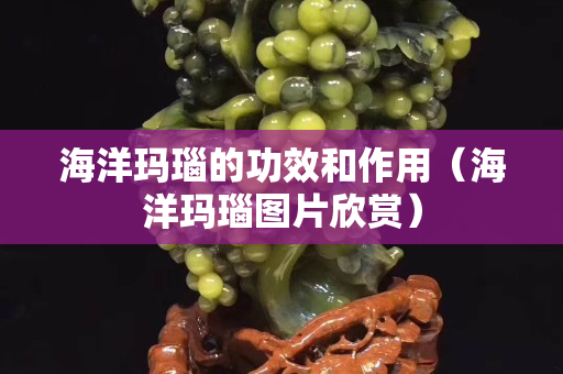 海洋玛瑙的功效和作用（海洋玛瑙图片欣赏）