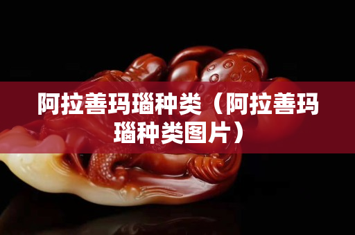 阿拉善玛瑙种类（阿拉善玛瑙种类图片）