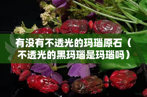 有没有不透光的玛瑙原石（不透光的黑玛瑙是玛瑙吗）