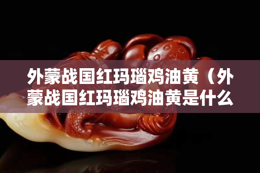 外蒙战国红玛瑙鸡油黄（外蒙战国红玛瑙鸡油黄是什么）