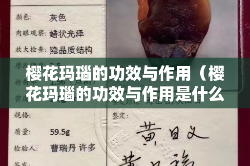 樱花玛瑙的功效与作用（樱花玛瑙的功效与作用是什么）