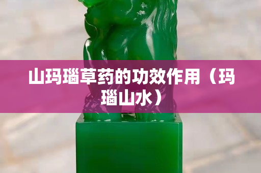 山玛瑙草药的功效作用（玛瑙山水）