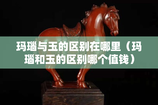 玛瑙与玉的区别在哪里（玛瑙和玉的区别哪个值钱）