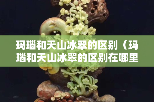 玛瑙和天山冰翠的区别（玛瑙和天山冰翠的区别在哪里）