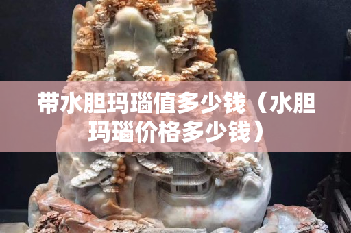 带水胆玛瑙值多少钱（水胆玛瑙价格多少钱）