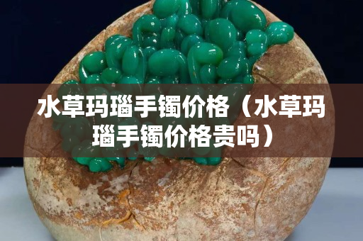 水草玛瑙手镯价格（水草玛瑙手镯价格贵吗）