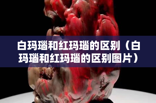 白玛瑙和红玛瑙的区别（白玛瑙和红玛瑙的区别图片）