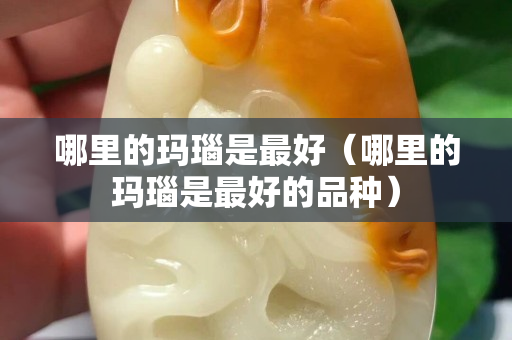 哪里的玛瑙是最好（哪里的玛瑙是最好的品种）
