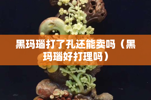 黑玛瑙打了孔还能卖吗（黑玛瑙好打理吗）
