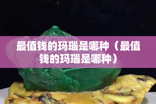 最值钱的玛瑙是哪种（最值钱的玛瑙是哪种）