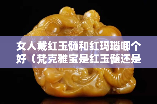 女人戴红玉髓和红玛瑙哪个好（梵克雅宝是红玉髓还是红玛瑙）