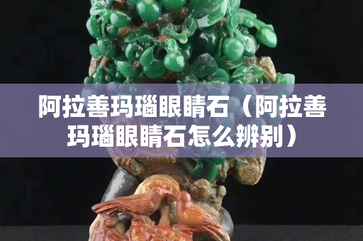 阿拉善玛瑙眼睛石（阿拉善玛瑙眼睛石怎么辨别）
