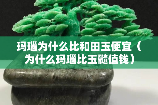 玛瑙为什么比和田玉便宜（为什么玛瑙比玉髓值钱）