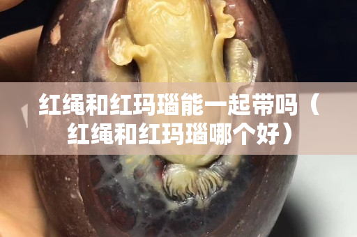 红绳和红玛瑙能一起带吗（红绳和红玛瑙哪个好）