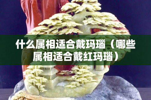 什么属相适合戴玛瑙（哪些属相适合戴红玛瑙）