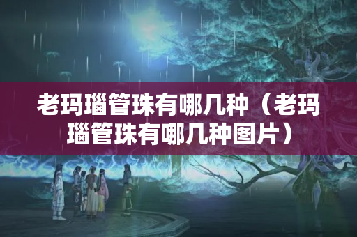 老玛瑙管珠有哪几种（老玛瑙管珠有哪几种图片）