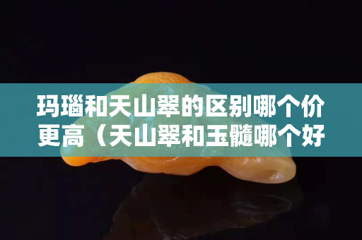 玛瑙和天山翠的区别哪个价更高（天山翠和玉髓哪个好）