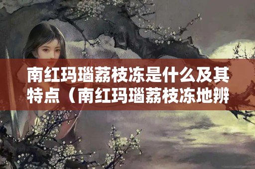 南红玛瑙荔枝冻是什么及其特点（南红玛瑙荔枝冻地辨别真假）