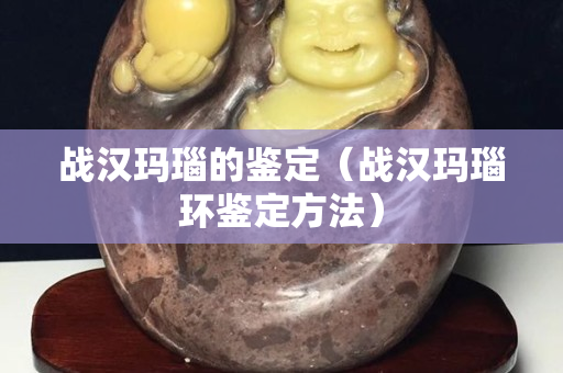 战汉玛瑙的鉴定（战汉玛瑙环鉴定方法）