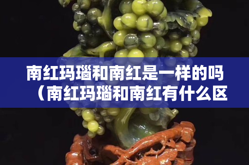 南红玛瑙和南红是一样的吗（南红玛瑙和南红有什么区别）