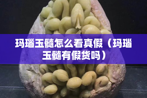 玛瑙玉髓怎么看真假（玛瑙玉髓有假货吗）