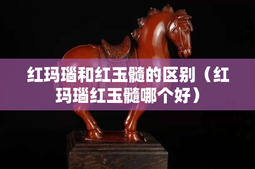 红玛瑙和红玉髓的区别（红玛瑙红玉髓哪个好）
