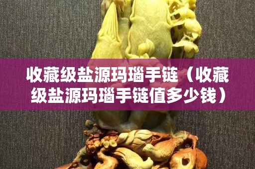 收藏级盐源玛瑙手链（收藏级盐源玛瑙手链值多少钱）