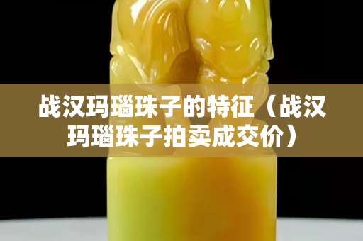 战汉玛瑙珠子的特征（战汉玛瑙珠子拍卖成交价）