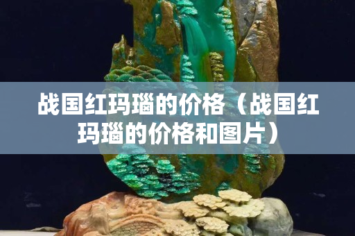 战国红玛瑙的价格（战国红玛瑙的价格和图片）