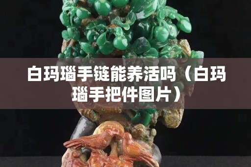 白玛瑙手链能养活吗（白玛瑙手把件图片）