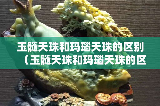 玉髓天珠和玛瑙天珠的区别（玉髓天珠和玛瑙天珠的区别图片）
