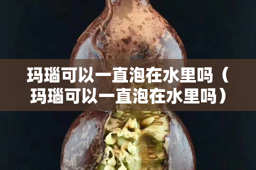 玛瑙可以一直泡在水里吗（玛瑙可以一直泡在水里吗）
