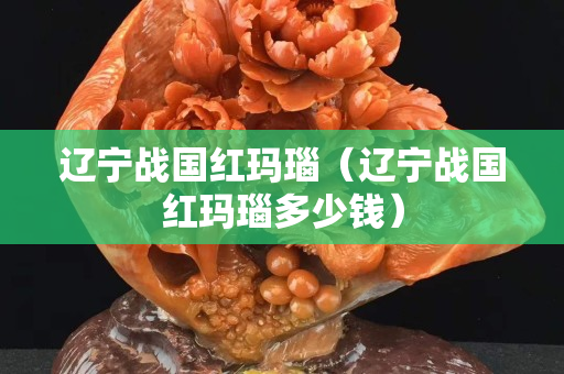 辽宁战国红玛瑙（辽宁战国红玛瑙多少钱）