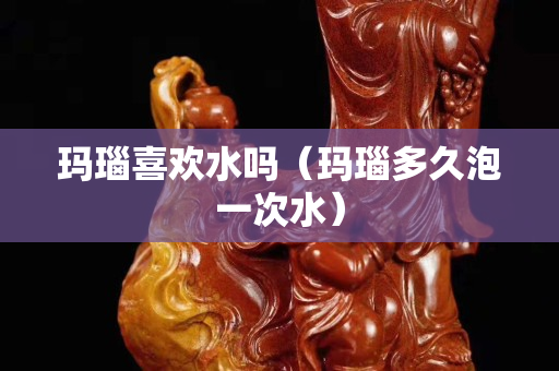 玛瑙喜欢水吗（玛瑙多久泡一次水）