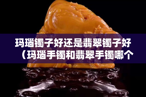 玛瑙镯子好还是翡翠镯子好（玛瑙手镯和翡翠手镯哪个值钱）