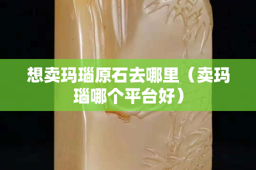 想卖玛瑙原石去哪里（卖玛瑙哪个平台好）