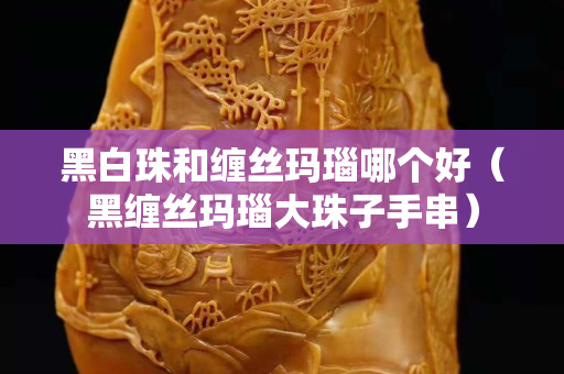 黑白珠和缠丝玛瑙哪个好（黑缠丝玛瑙大珠子手串）