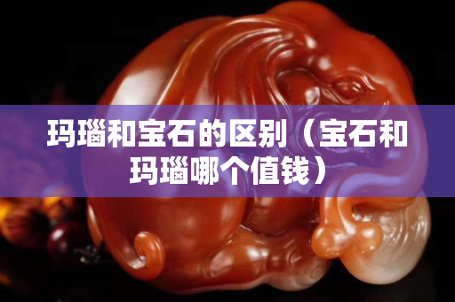 玛瑙和宝石的区别（宝石和玛瑙哪个值钱）