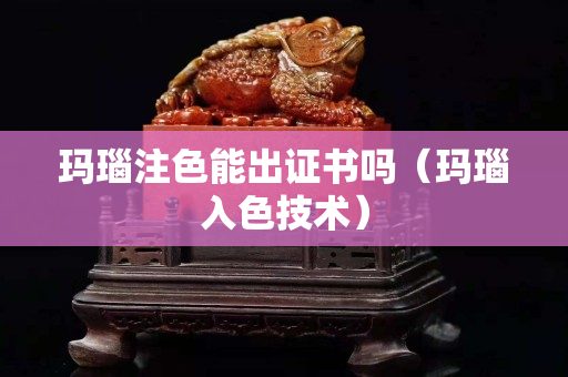 玛瑙注色能出证书吗（玛瑙入色技术）