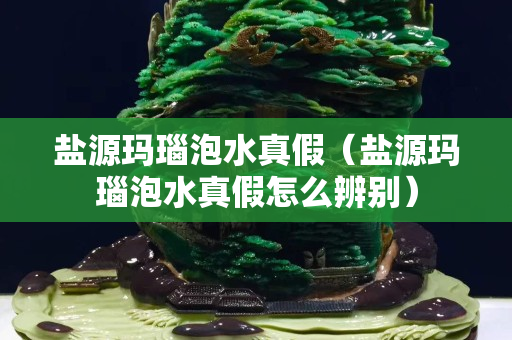 盐源玛瑙泡水真假（盐源玛瑙泡水真假怎么辨别）