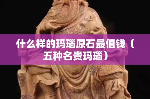 什么样的玛瑙原石最值钱（五种名贵玛瑙）