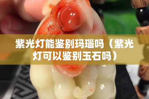 紫光灯能鉴别玛瑙吗（紫光灯可以鉴别玉石吗）
